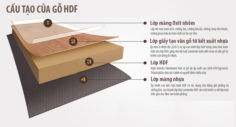 Cấu tạo gỗ HDF
