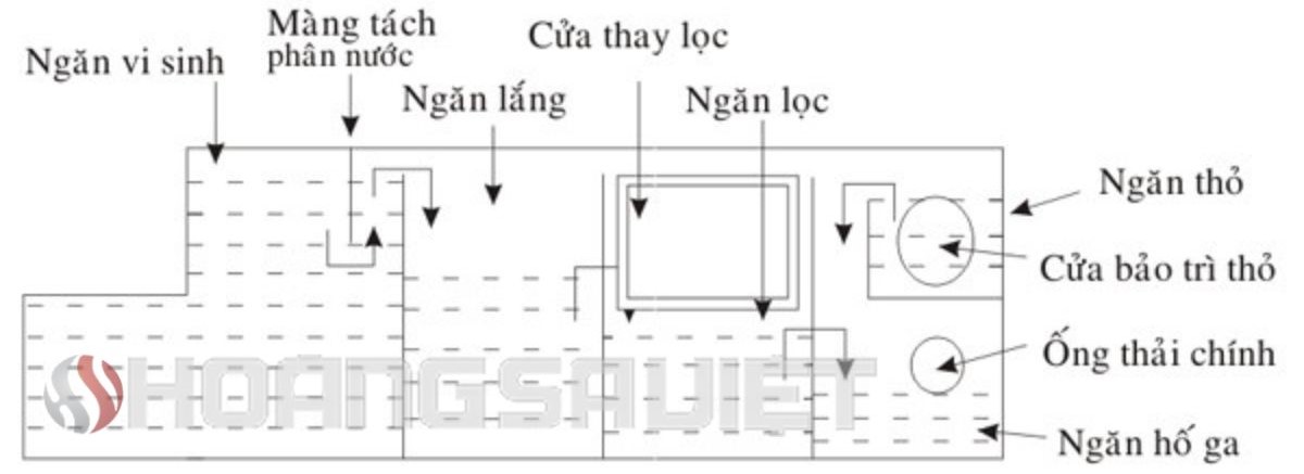 Hầm phân tự hoại