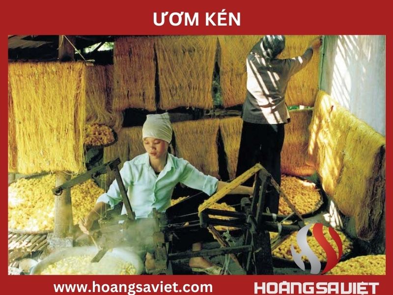 Ươm kén Ươm kén