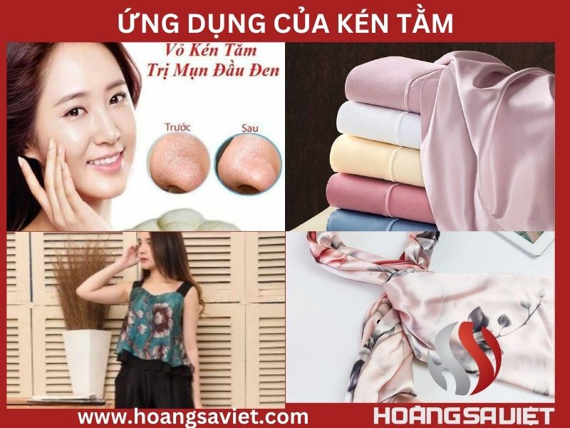 Ứng dụng thực tế Ứng dụng thực tế