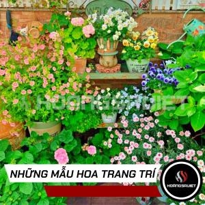 Những Mẫu Hoa Trang Trí Cho Nhà Cửa Xua Tan Cảm Giác Mệt Mỏi Sau Giờ Làm Những Mẫu Hoa Trang Trí Cho Nhà Cửa Xua Tan Cảm Giác Mệt Mỏi Sau Giờ Làm