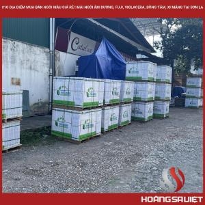 #10 Điểm Mua Bán Gạch Ngói Màu. Mái Ngói Âm Dương, Fuji, Viglacera, Đồng Tâm, Xi Măng Tại Sơn La #10 Điểm Mua Bán Gạch Ngói Màu. Mái Ngói Âm Dương, Fuji, Viglacera, Đồng Tâm, Xi Măng Tại Sơn La